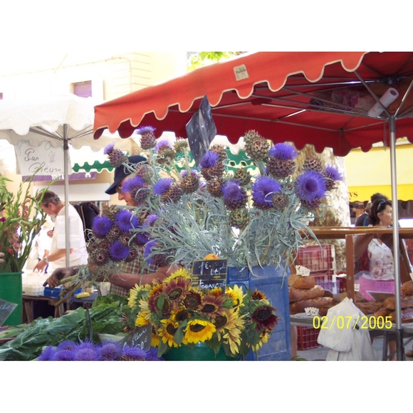 Panasonic FX37 LUMIX Camera - Picture 15 of 16